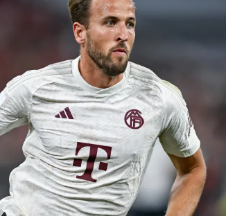 的体能以及 的体能以及