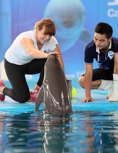 将这个至关 将这个至关