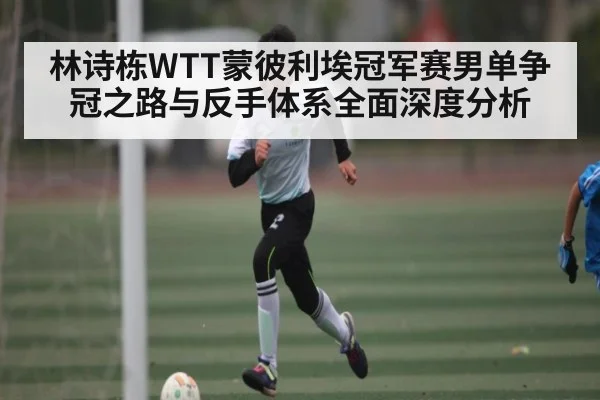 林诗栋WTT蒙彼利埃冠军赛男单争冠之路与反手体系全面深度分析